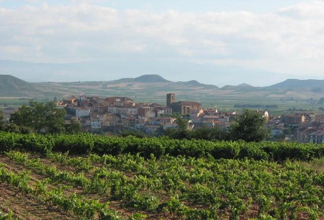 里奥哈产区允许对单一葡萄园进行分级啦