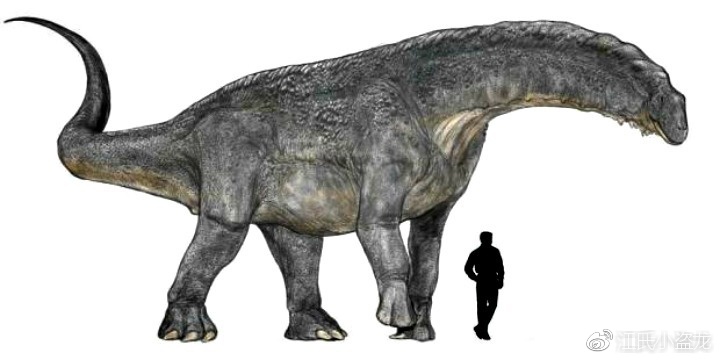 曾經被誤認為是最小的恐龍卻揭示了恐龍巨大的秘密