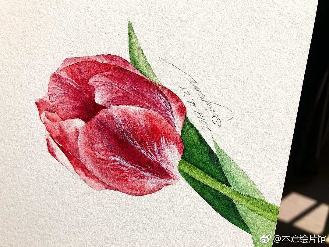 韩式水彩花卉作品欣赏96 | ins:veryhyun7_新浪新闻