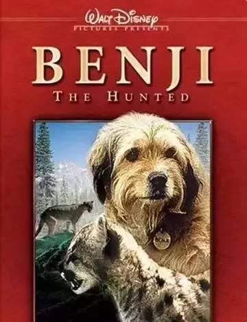 看一次哭一次的10大狗狗电影,你看过几部