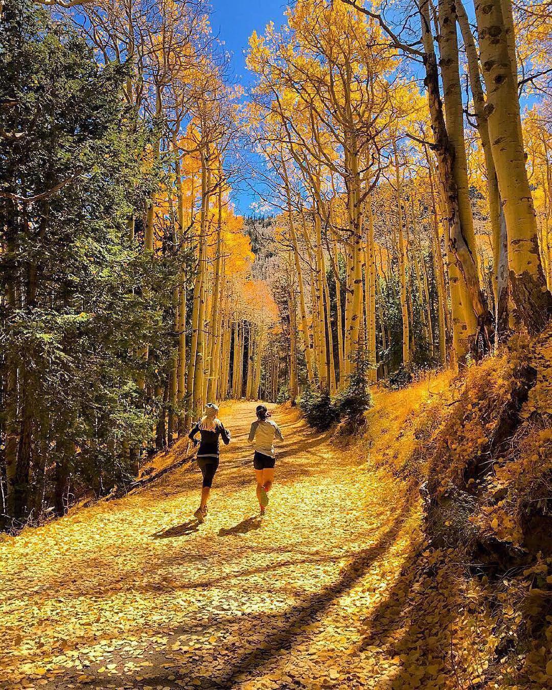 跑步锻炼哪些肌肉?跑前跑后要做什么准备?大家快了解了解吧!