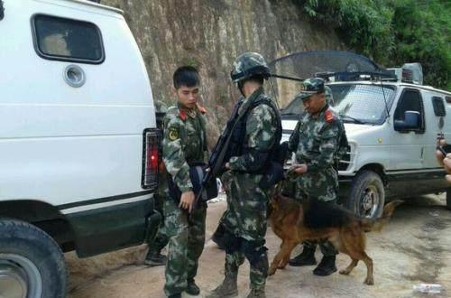 揭秘东北二王的罪恶人生从潜逃到击毙历时7个月打死打伤18人