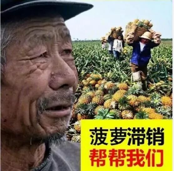 救救淘宝大爷4000万斤苹果滞销的骗局有人正用你的善良敛财