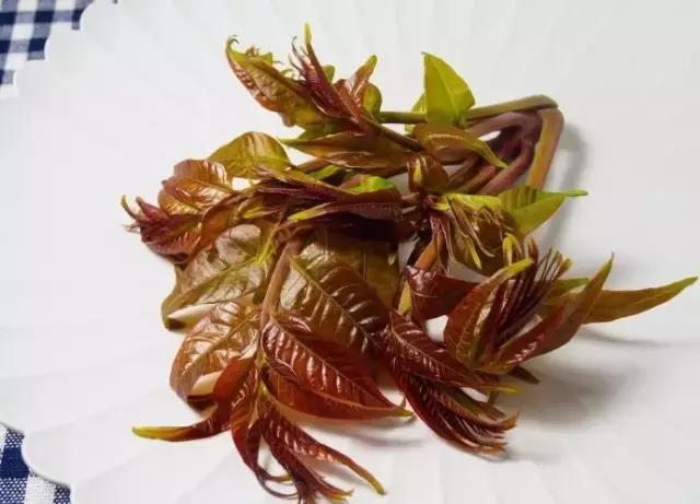 香椿怎么吃?香椿拌豆腐