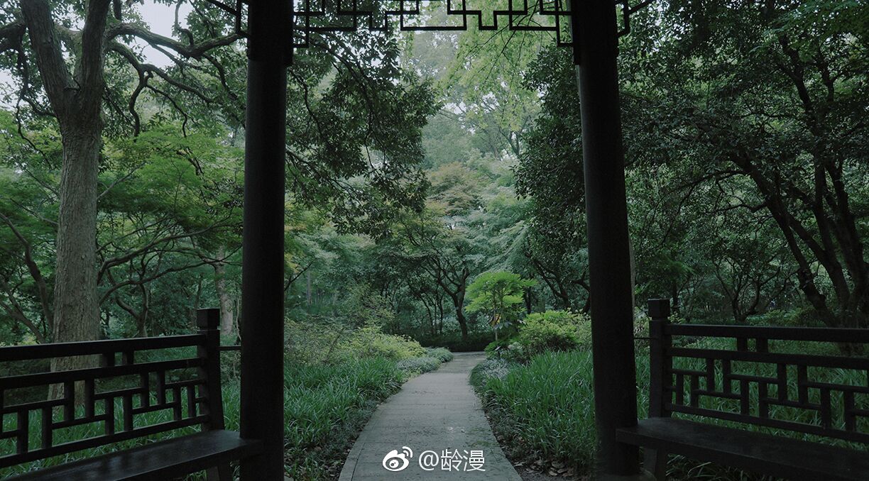 临溪听雨|兰芽|子规|沙路_新浪新闻