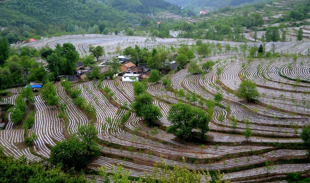 离西安仅两小时车程的地方有一处西北最神奇的梯田,简直美哭了!