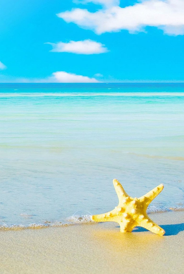 唯美海星安卓图片|海星|壁纸|安卓手机_新浪新闻