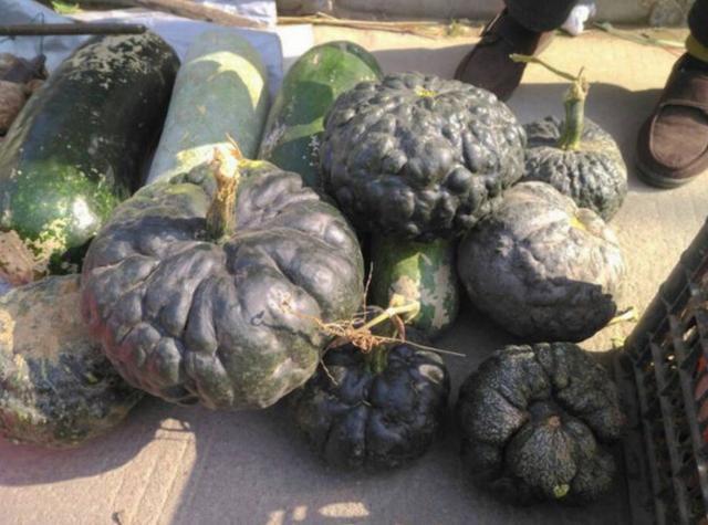 农村集市,见到一种巨丑的瓜,大妈说是"毛冬瓜",有谁认识?