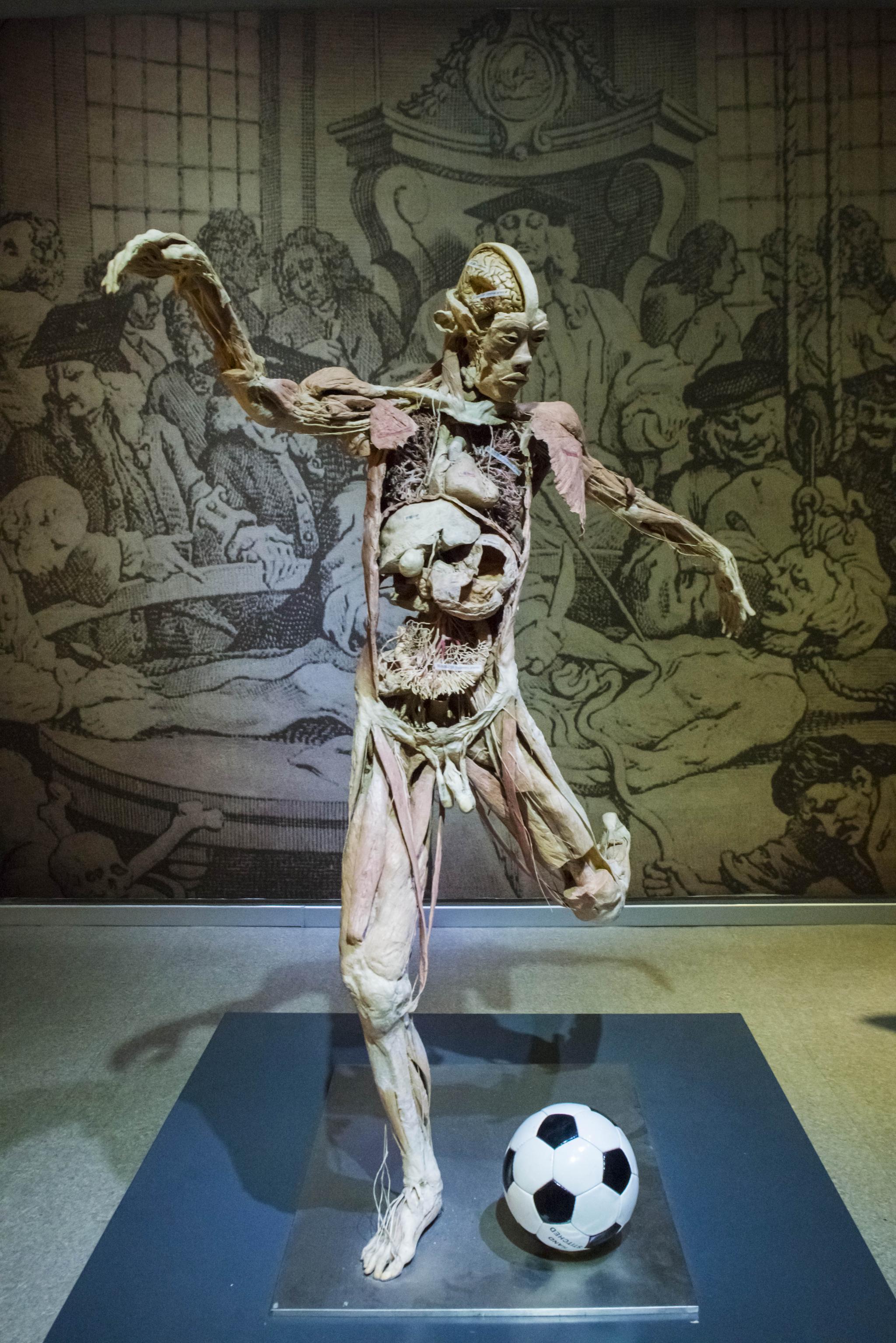 从这里来看看我们的生命以及它的结构构造都是什么