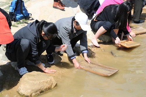 加拿大有一条黄河大量盛产金子60多年30万人来此淘金