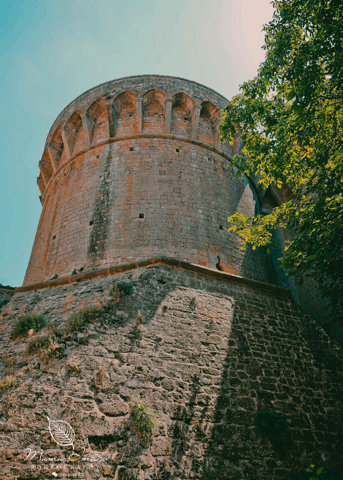 《暮光之城》的取景地, 阳光都带着中世纪的诡异