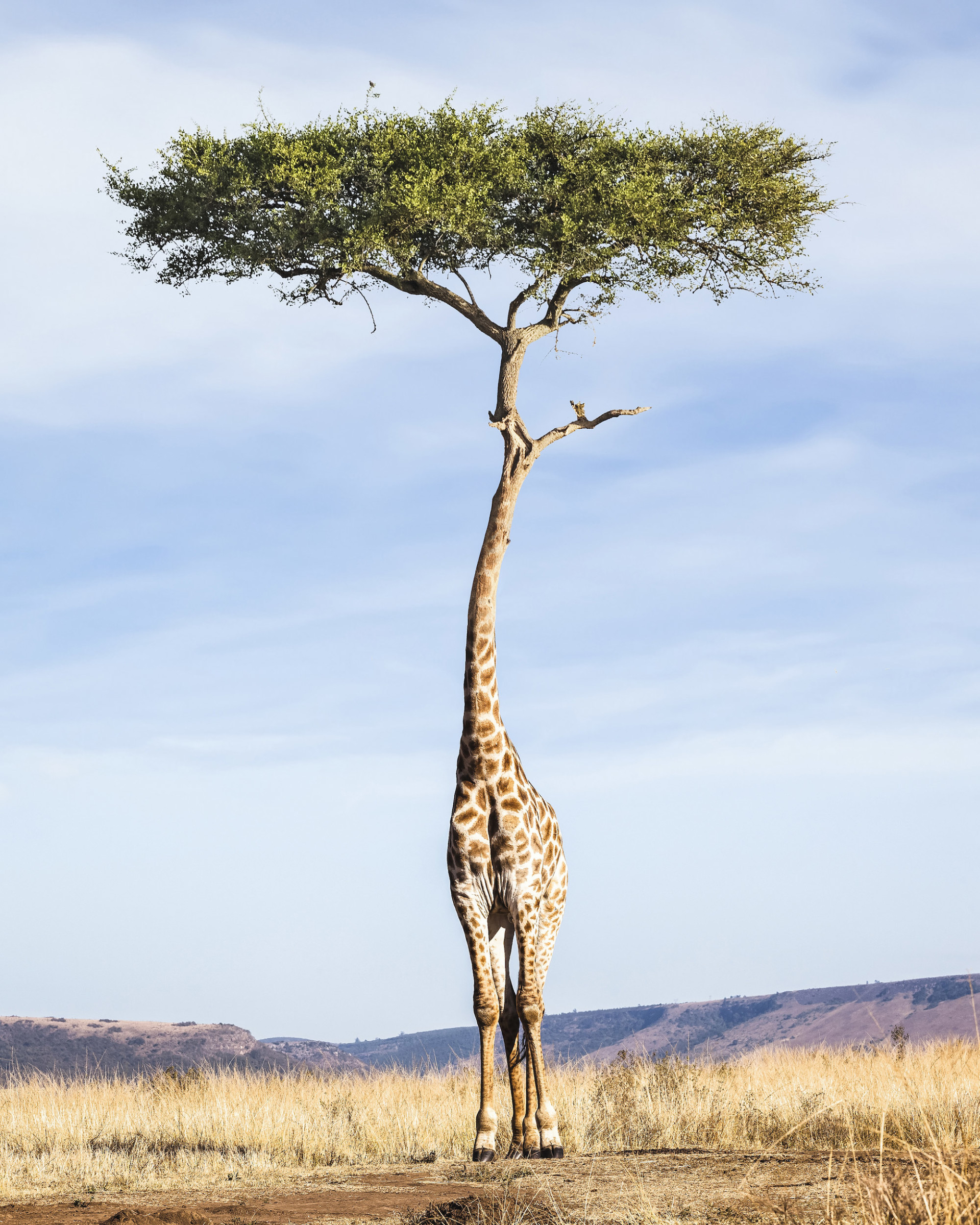 摄影师justinpeters超现实主义摄影作品