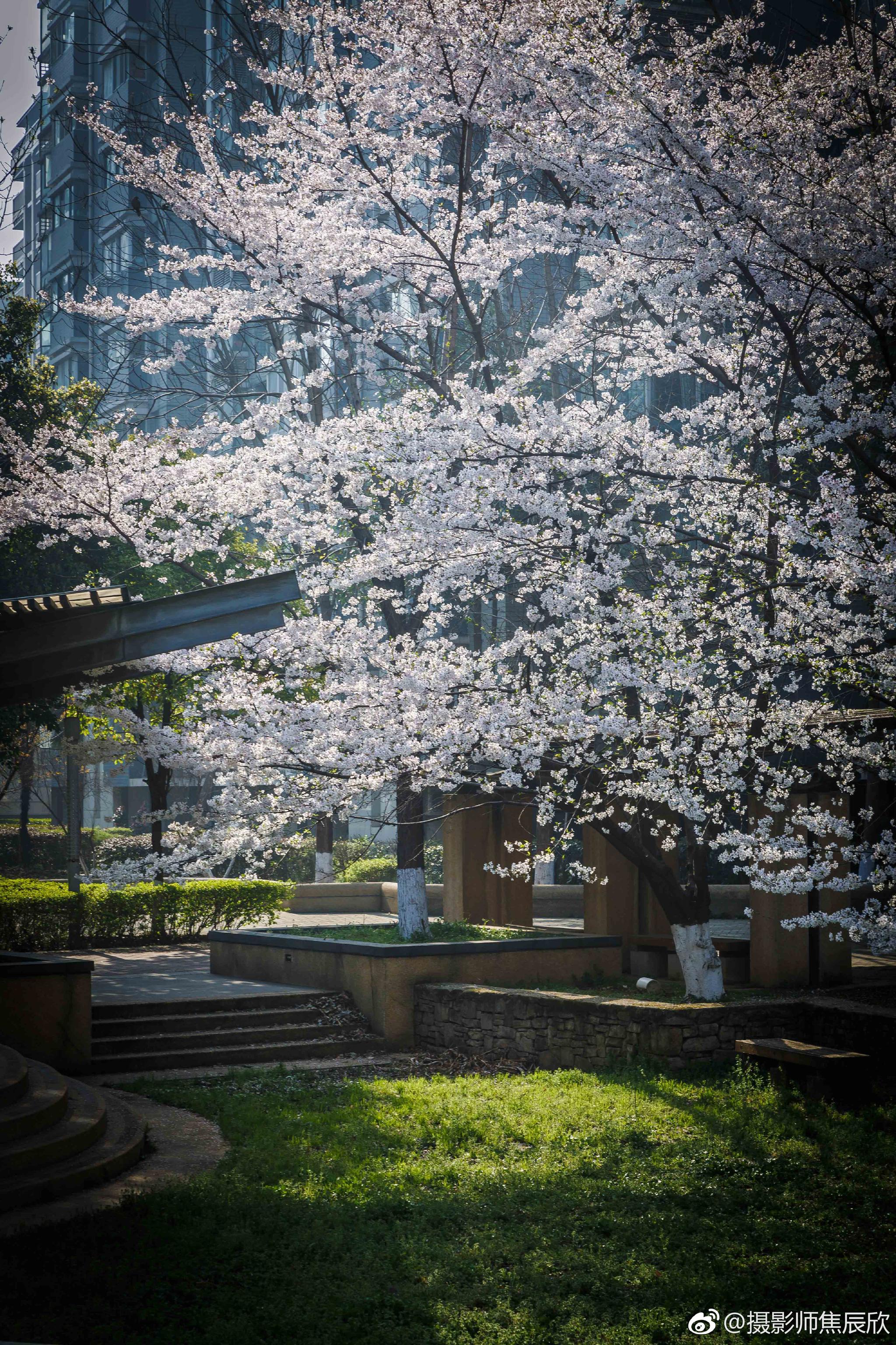 我们对美好的东西总是不知疲倦,窗外的风景美得不像话