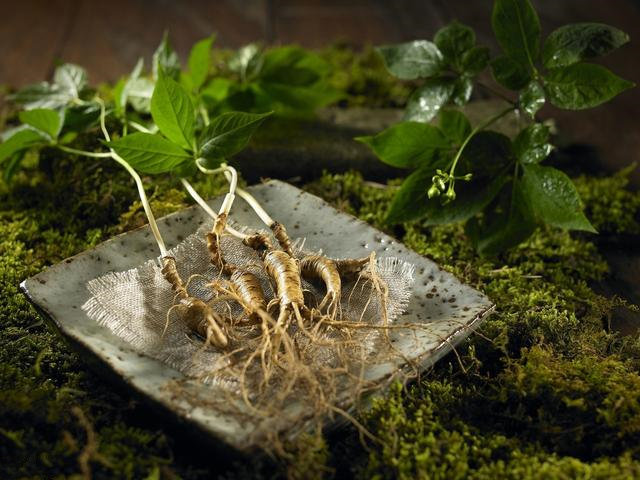 每日取缘峪参大粒3颗,枸杞10粒开水反复冲泡代茶饮,也可以每天直接嚼