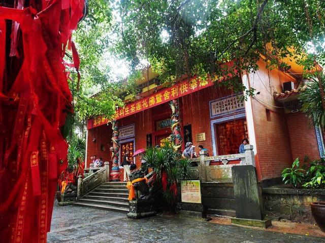 东山岭不但是海南第一山,还是四大名菜东山羊的故乡