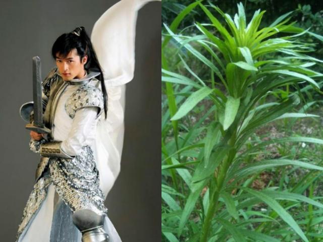 飞蓬,景天的前身,喜欢夕瑶,神界第一将军.
