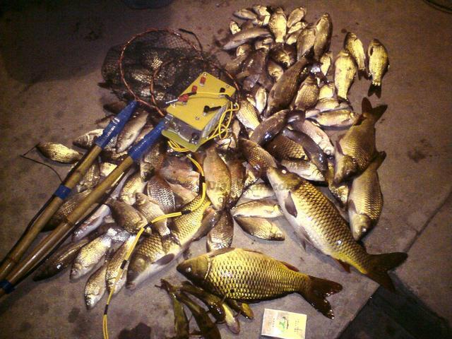 老农摆摊卖鱼,大伙争相购买,看到他车上的设备,又纷纷离开