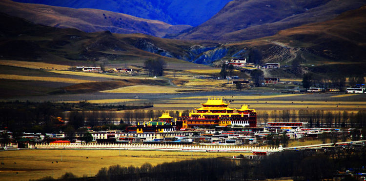 这里还未被很多人发现,网上关于惠远寺的记录攻略游记也并不多,但惠远