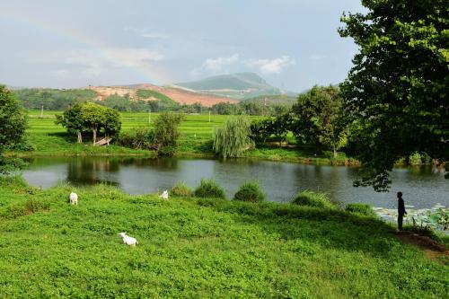 自然的田园风景,慢生活,都市人幻想中的生活!