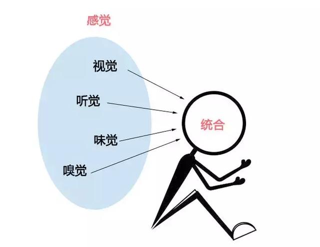 我们有很多感觉,比如听觉,味觉,触觉,以及对身体内部活动的感觉,这些
