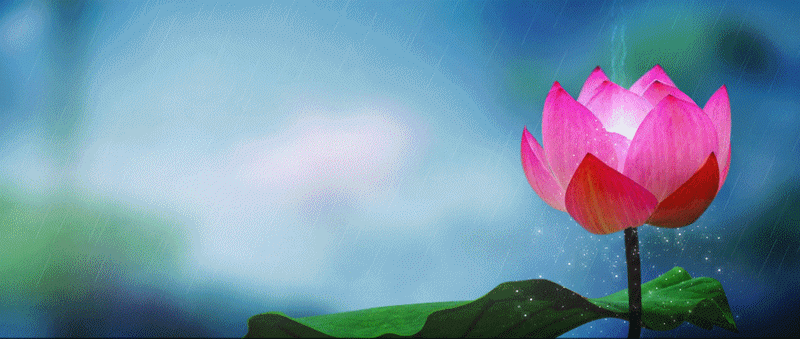 记得大明湖畔的"夏雨荷"吗?"她"不仅好看还好吃