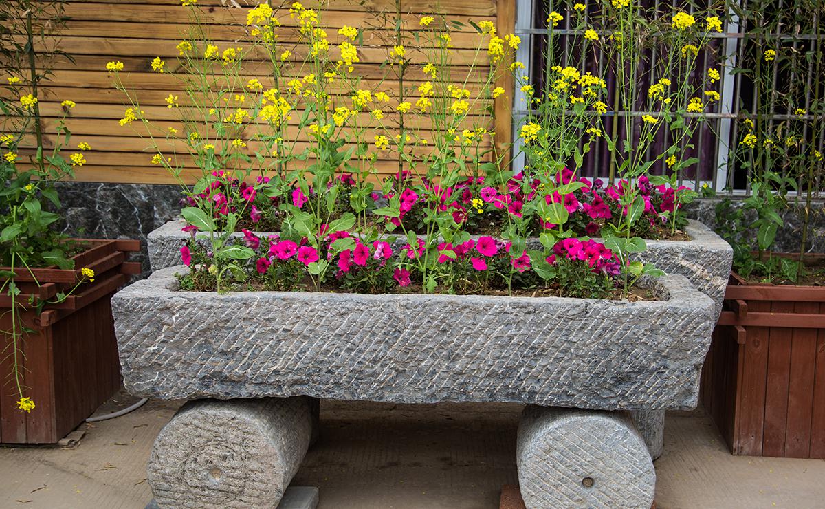 农村大姐收集上千石器,最高升值十倍|石器|石槽|大姐_新浪新闻