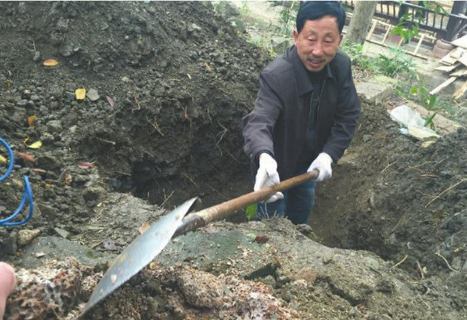 人们看到大叔在树下挖坑好奇询问得知原因后让人后怕