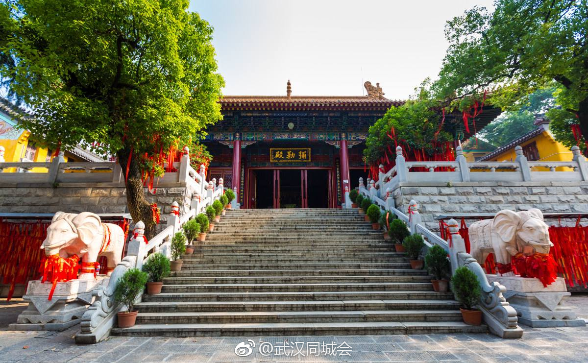 武汉现存最古老的寺院：宝通寺|宝通寺|寺院|武汉_新浪新闻
