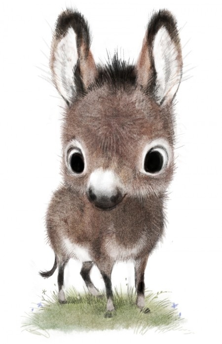 sydneyhanson动物绘画作品一组