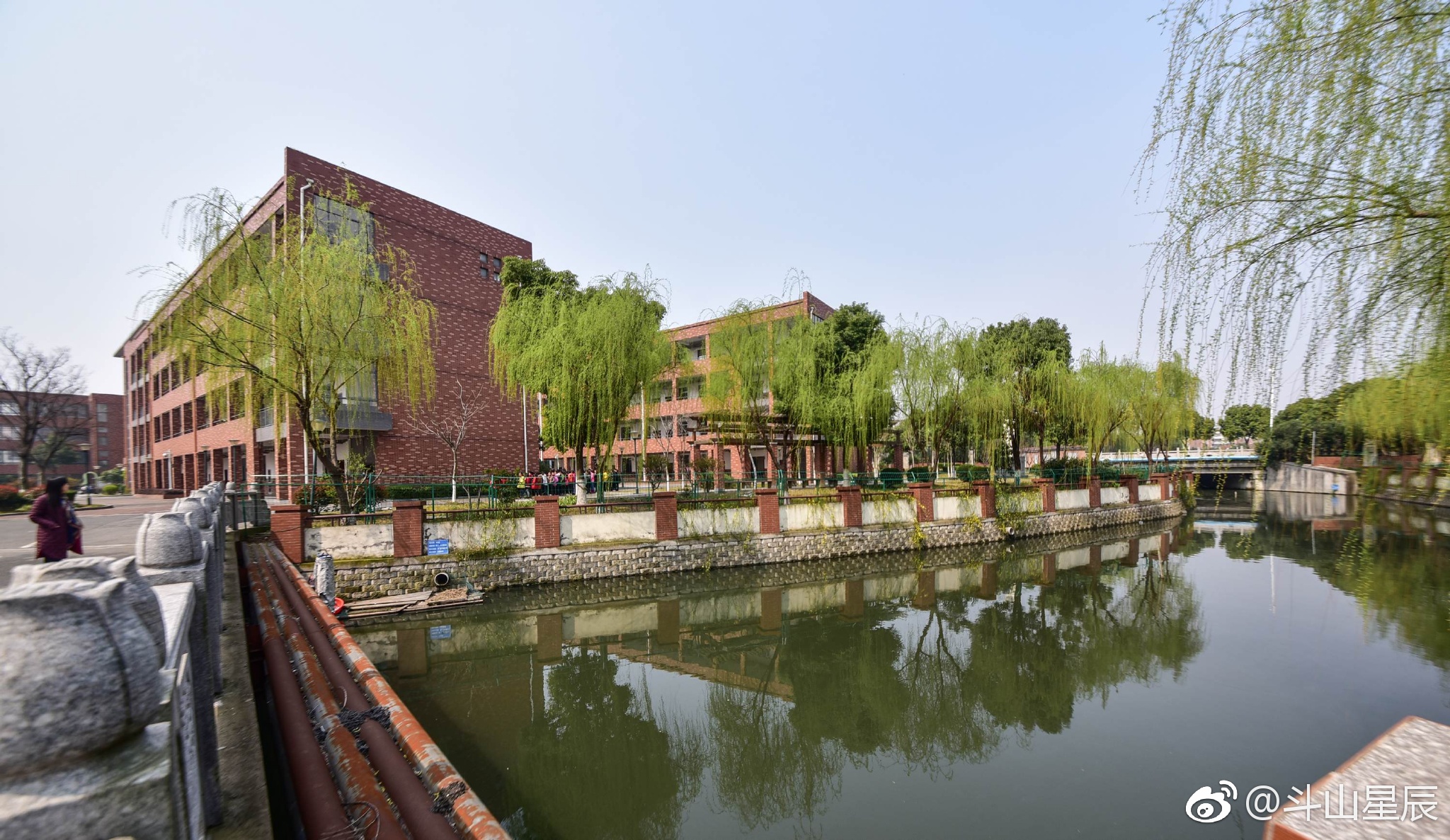 校园春色,摄于无锡市锡山区东北塘小学.