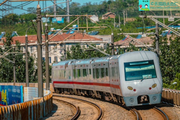 大连快轨的小车车们