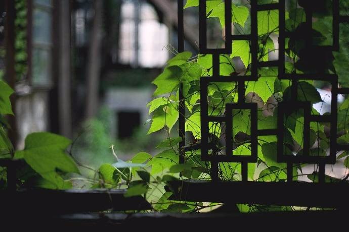 踏看不读俗几日,众里倜傥出蓬篙.无穷诗思窗前草,不了功夫架上书.