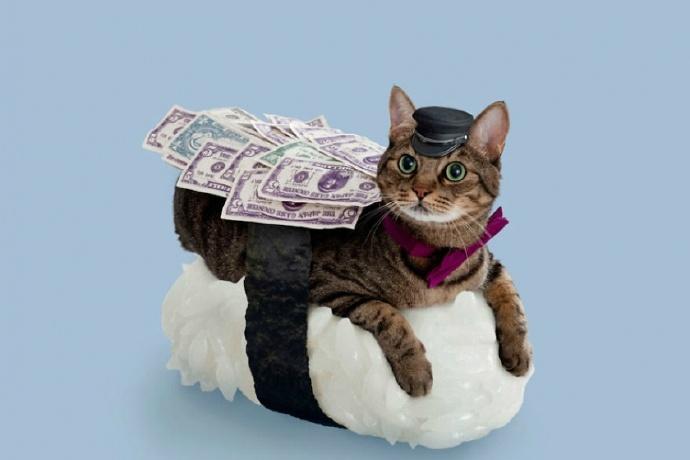 好魔性的猫咪"寿司", 有点暗黑有点萌?