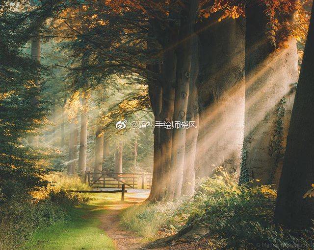 分享一波关于光影的图片-丁达尔效应～光源的画法在我们设计中尤其|丁