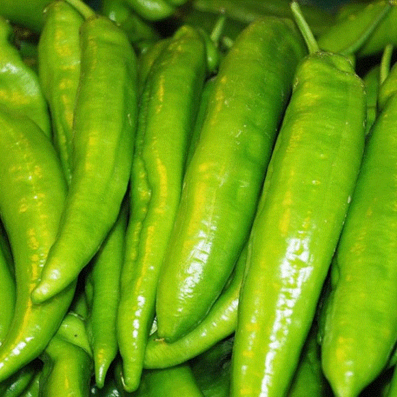 冰箱里不能放这4种食物很多人都在犯拿出来就得扔掉赶紧看