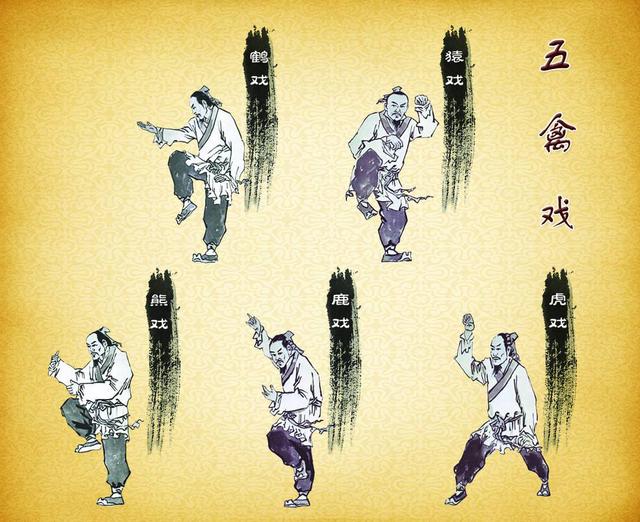 正文       大家都知道司马懿活的久,是练的《五禽戏》,但是别人练的