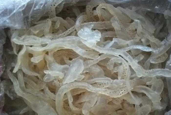 人工合成|海蜇皮|羊肉卷_新浪新闻