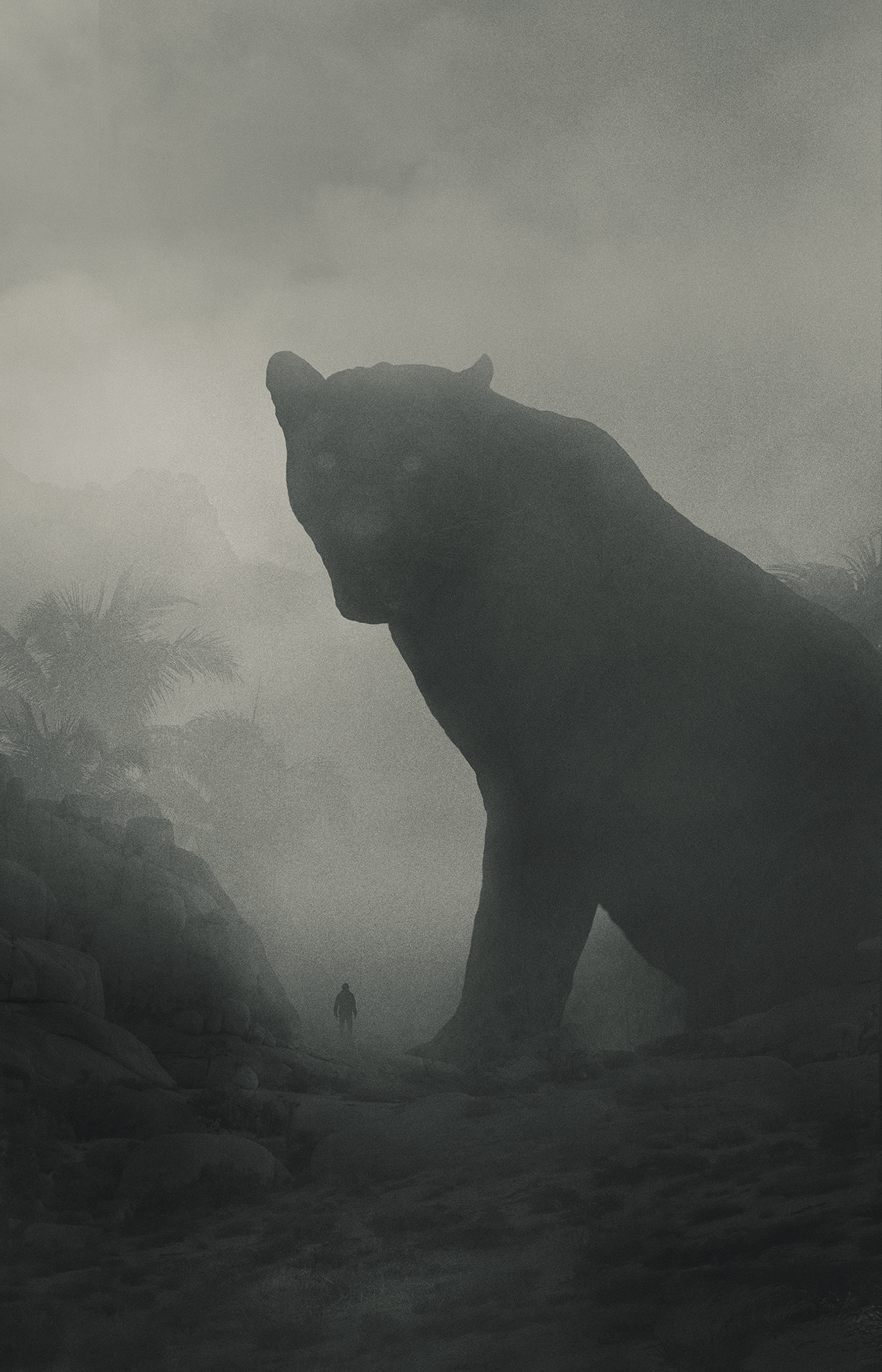 波兰艺术家dawid planeta 黑暗神秘的黑白插画