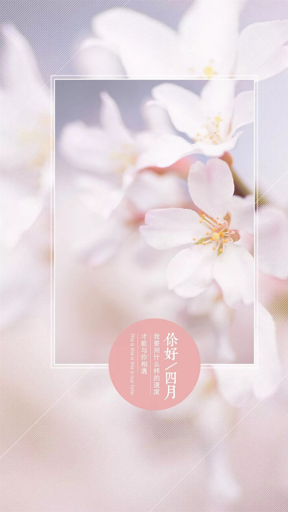 3月,再见|四月天|芳菲|花开_新浪新闻