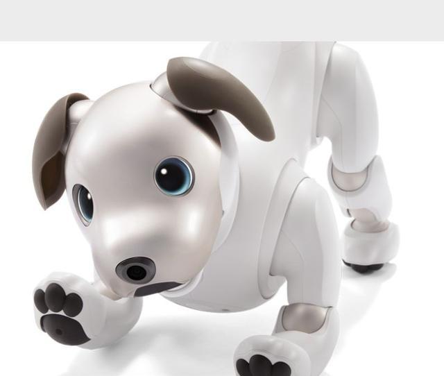 索尼机器人aibo复活 形态超萌售价过万
