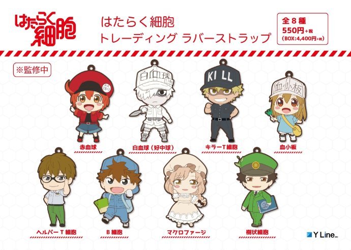 y line 《工作細胞》周邊商品公開, 8~9月發售!