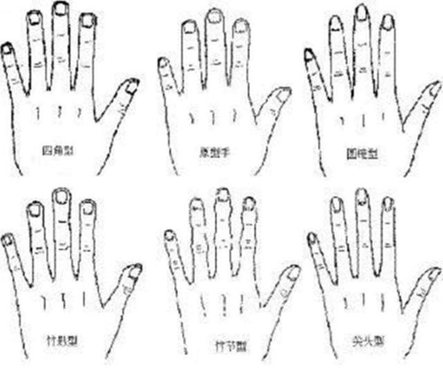 【方型手】方形手的特征是掌的上下左右四边长度几乎相等,好似一块四