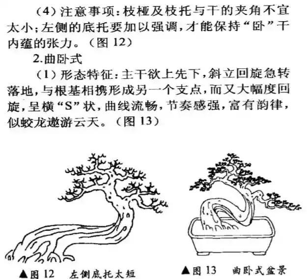 盆景造型基础知识图解卧干型盆景制作一看就会