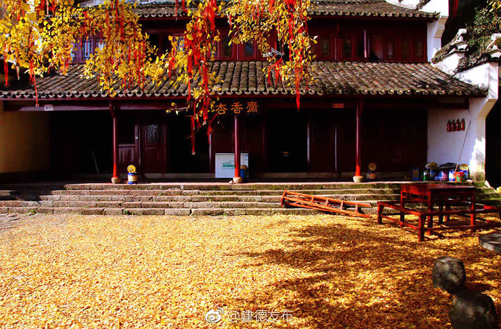 慈岩寻秋色,聆听落叶声