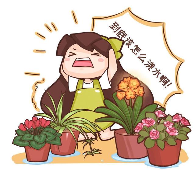 30种花浇水方法1句话保花活20年
