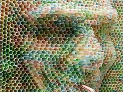 你有没有密集恐惧症?看完这组图就知道了|恐惧症|孔洞|图片|图案|厌恶感_新浪新闻