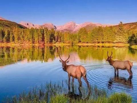 善处大过，而惧小过|周易|大过|君子_新浪新闻