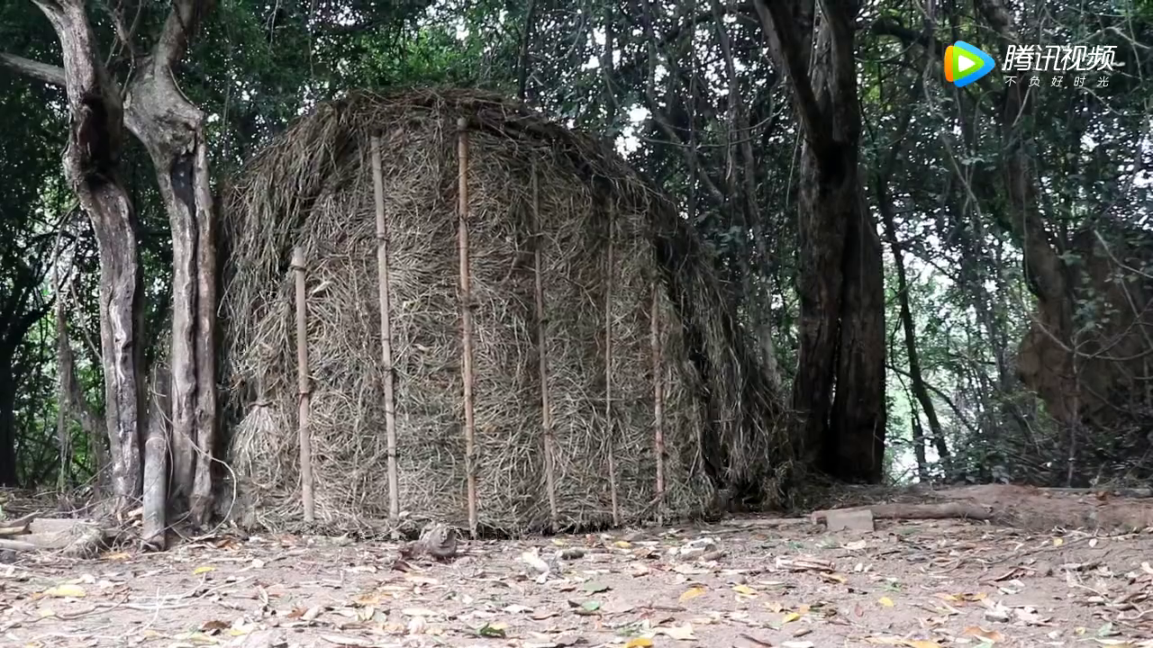 在庇护所旁边搭个草棚,坐在棚里喝茶吃饭挺不错