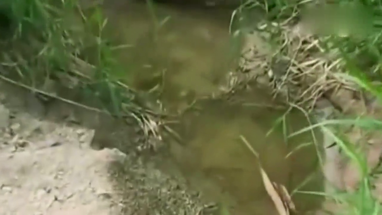 德爷荒野求生 蒙古戈壁的惊险历程