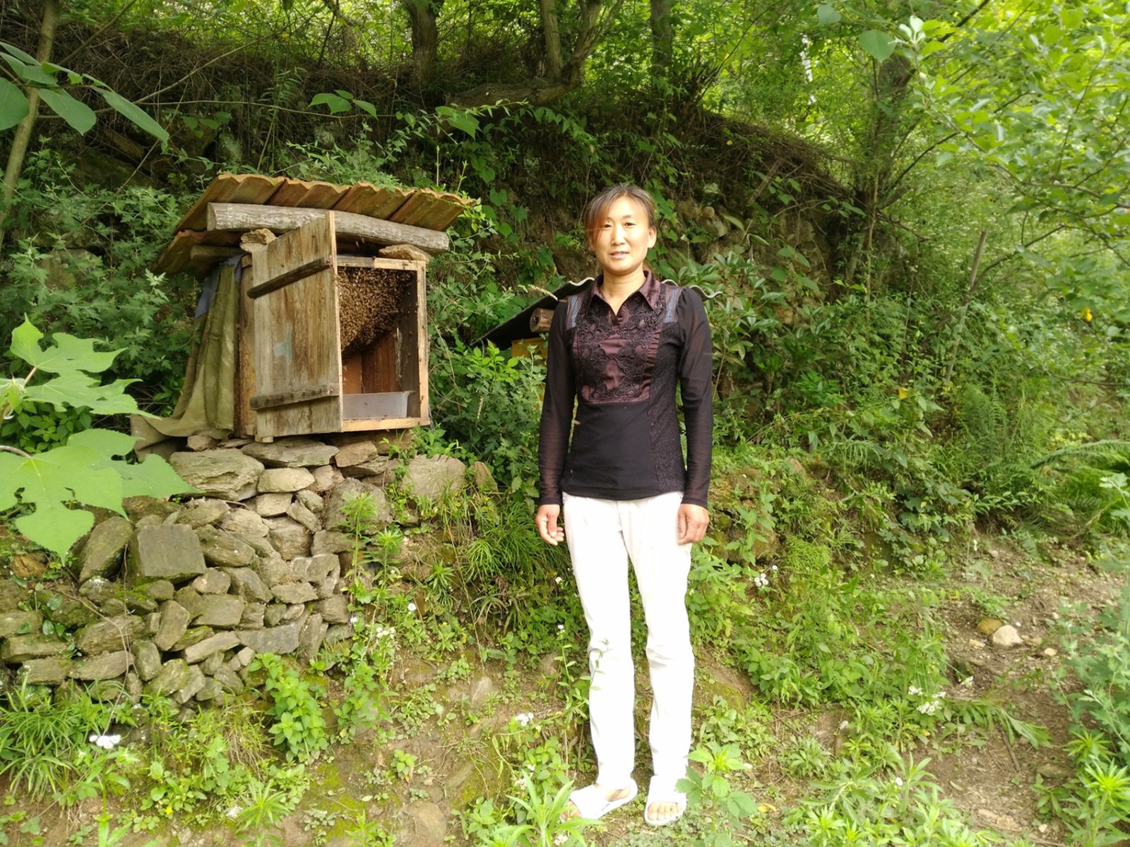 官山镇:养蜂大户王万梅 央视传播达千里